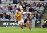 Antrim's Johnny Campbell in action duirng Sunday's Leinster Championship clash with Dublin in Croke park.